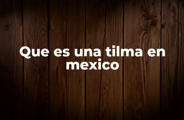 Que es una Tilma en Mexico 2 La tilma en la historia y cultura mexicana