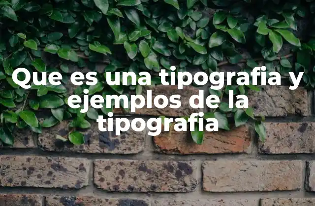 Que es una Tipografia y Ejemplos de la Tipografia
