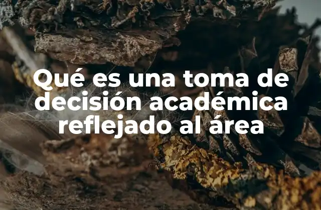 Qué es una Toma de Decisión Académica Reflejado Al Área