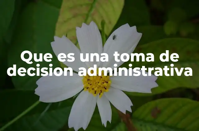Que es una Toma de Decision Administrativa 2 La importancia de la toma de decisiones en el liderazgo organizacional