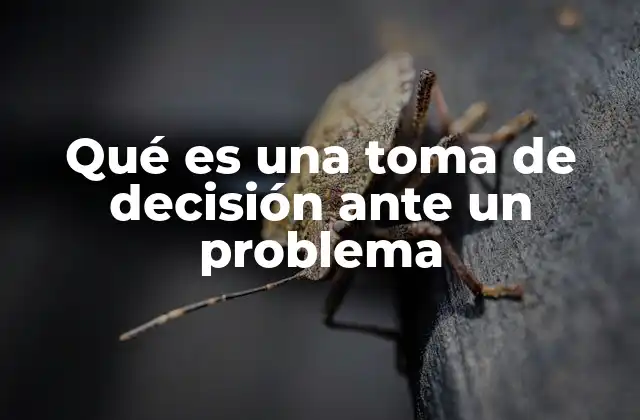 Qué es una Toma de Decisión ante un Problema