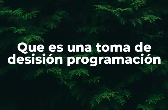 Que es una Toma de Desisión Programación