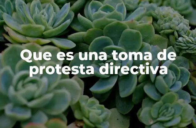 El papel de la toma de protesta en la gobernanza corporativa