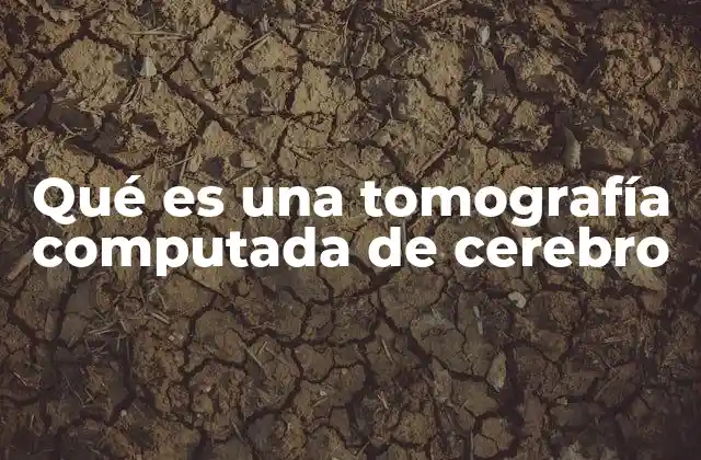 La importancia de la imagenología en el diagnóstico neurológico