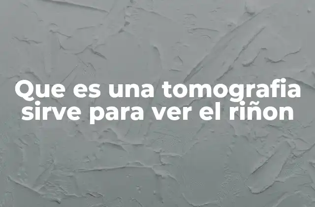 Que es una Tomografia Sirve para Ver el Riñon 2 La importancia de la imagenología en la salud renal