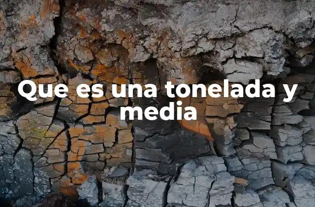 Que es una Tonelada y Media