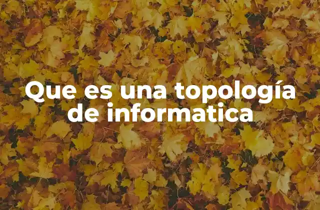Que es una Topología de Informatica