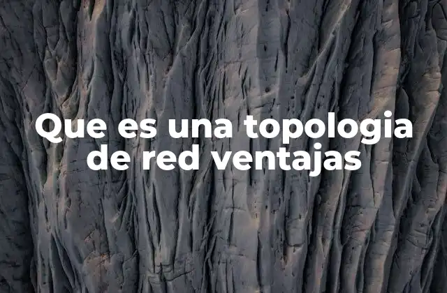 Que es una Topologia de Red Ventajas