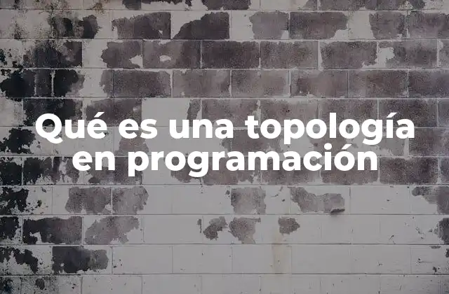 Qué es una Topología en Programación