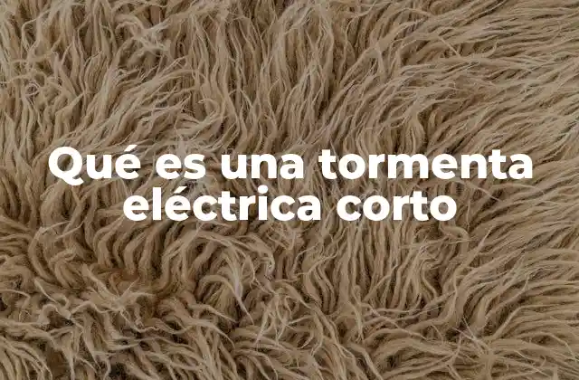 Qué es una Tormenta Eléctrica Corto