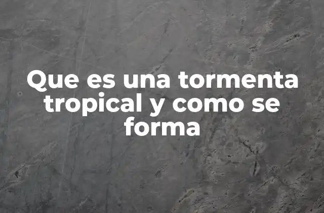 Que es una Tormenta Tropical y como Se Forma