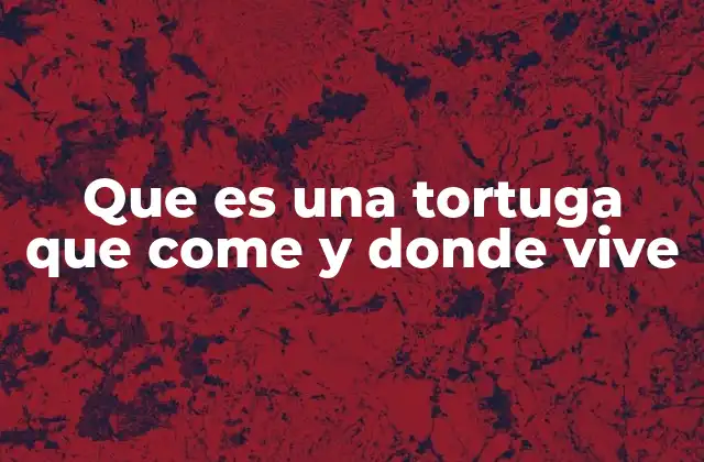 Que es una Tortuga que Come y Donde Vive