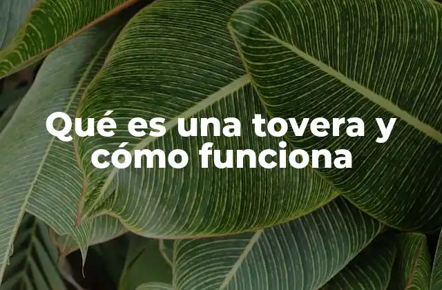 Qué es una Tovera y Cómo Funciona