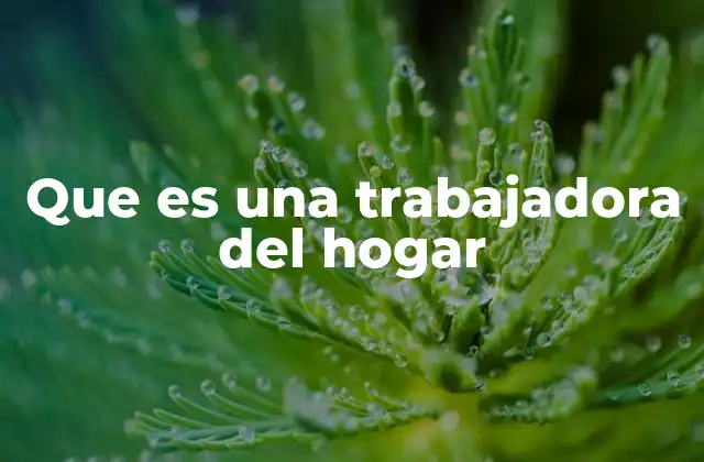 Que es una Trabajadora Del Hogar