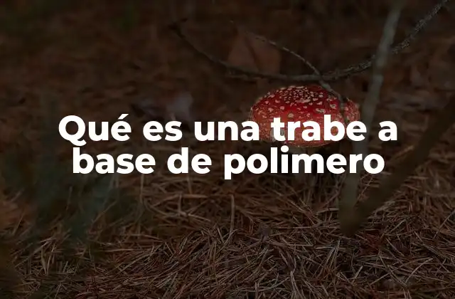 Qué es una Trabe a Base de Polimero