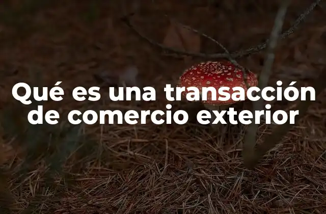 Qué es una Transacción de Comercio Exterior