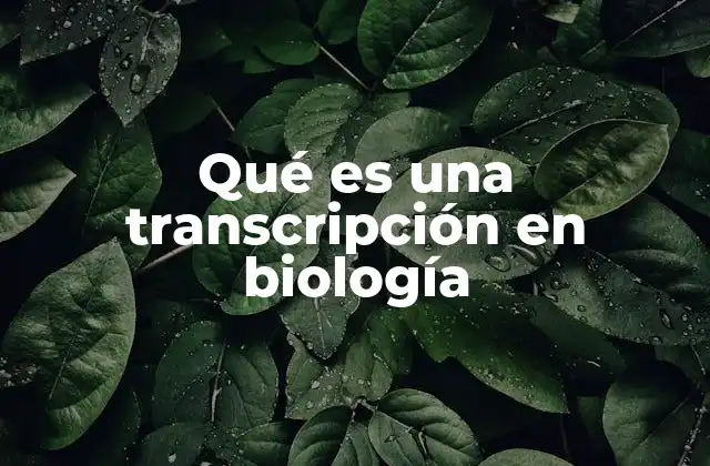 Qué es una Transcripción en Biología