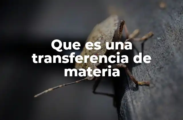 Que es una Transferencia de Materia