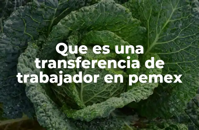 Que es una Transferencia de Trabajador en Pemex 2 El impacto de los movimientos laborales en la estructura de Pemex