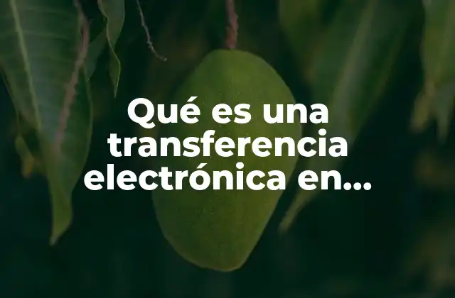 Qué es una Transferencia Electrónica en Contabilidad