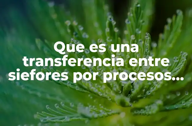 Que es una Transferencia entre Siefores por Procesos Operativos