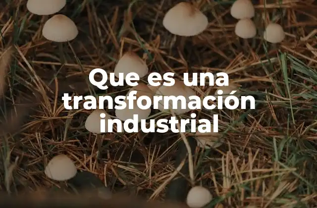 Que es una Transformación Industrial