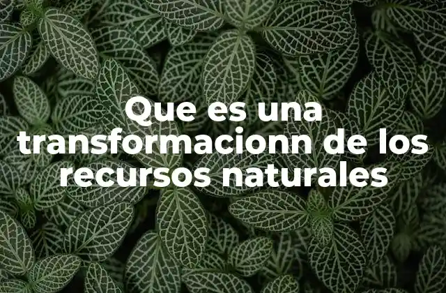 Que es una Transformacionn de los Recursos Naturales 2 El impacto de la transformación en la economía y el entorno
