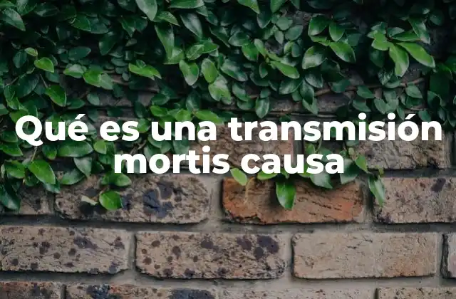Qué es una Transmisión Mortis Causa