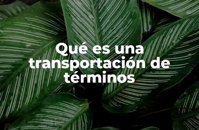 Qué es una Transportación de Términos