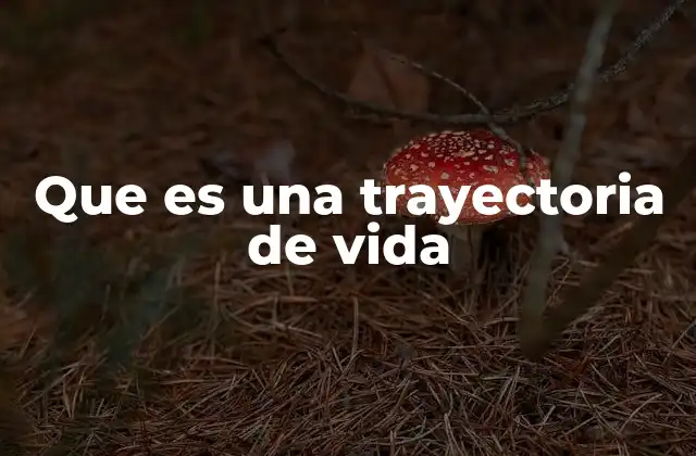 Que es una Trayectoria de Vida