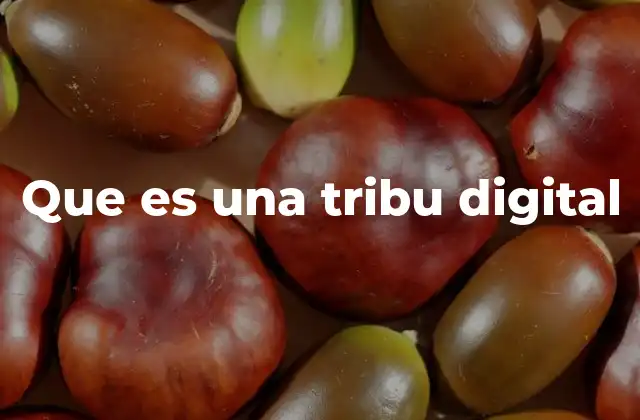 Que es una Tribu Digital