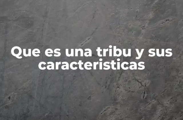 Que es una Tribu y Sus Caracteristicas 2 La estructura social y cultural de las tribus