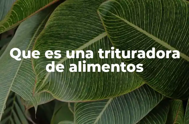 Que es una Trituradora de Alimentos