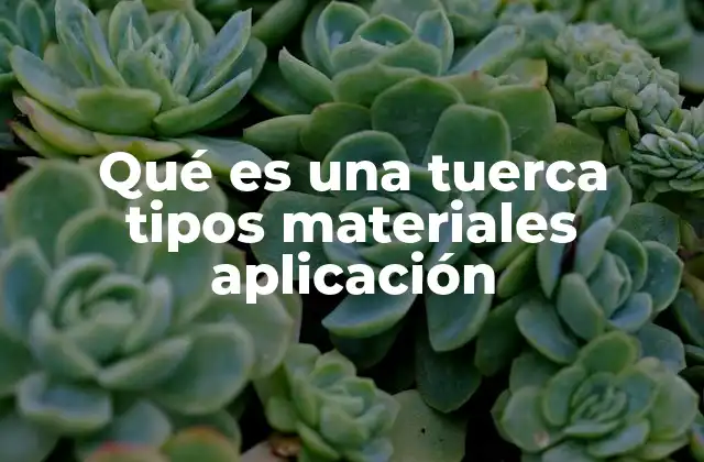 Qué es una Tuerca Tipos Materiales Aplicación