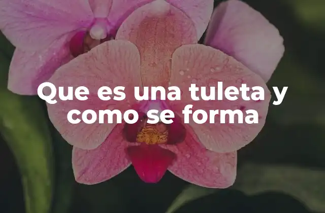 Que es una Tuleta y como Se Forma