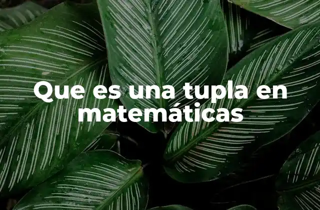 Que es una Tupla en Matemáticas