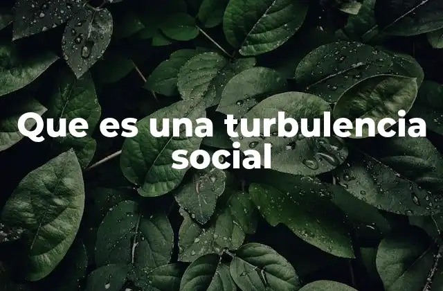 Que es una Turbulencia Social