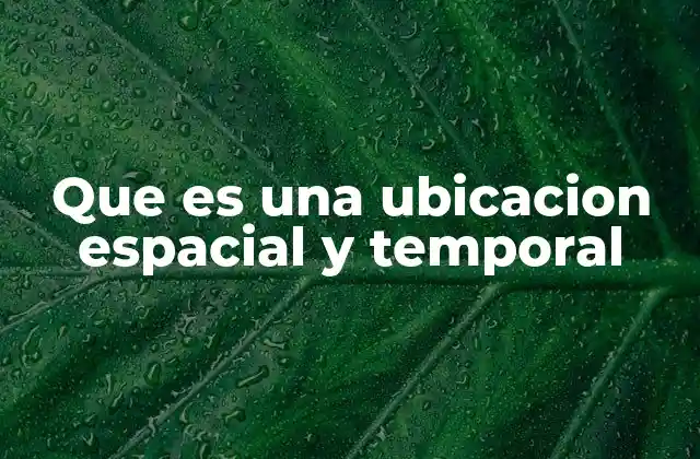 Que es una Ubicacion Espacial y Temporal
