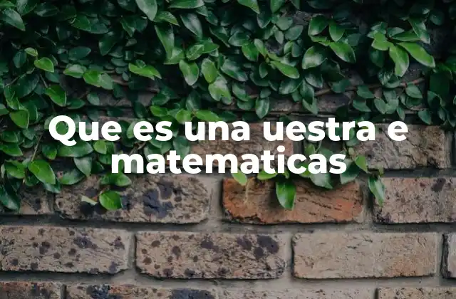 Que es una Uestra e Matematicas