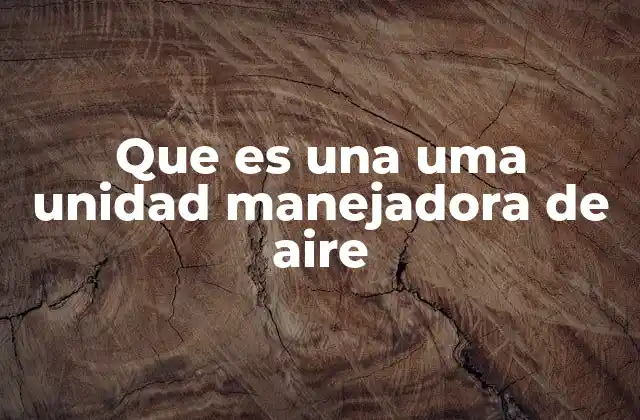 Que es una Uma Unidad Manejadora de Aire