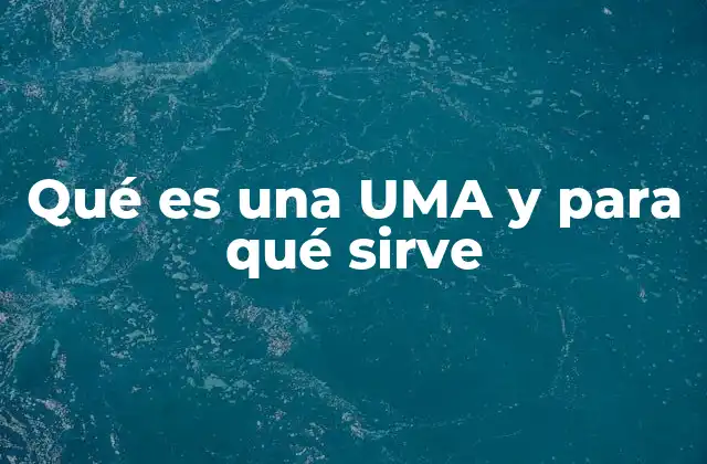 Qué es una Uma y para Qué Sirve
