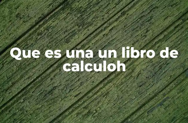 Que es una un Libro de Calculoh