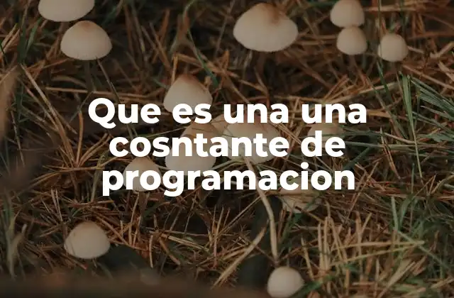 Que es una una Cosntante de Programacion