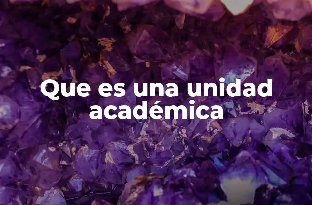 Que es una Unidad Académica