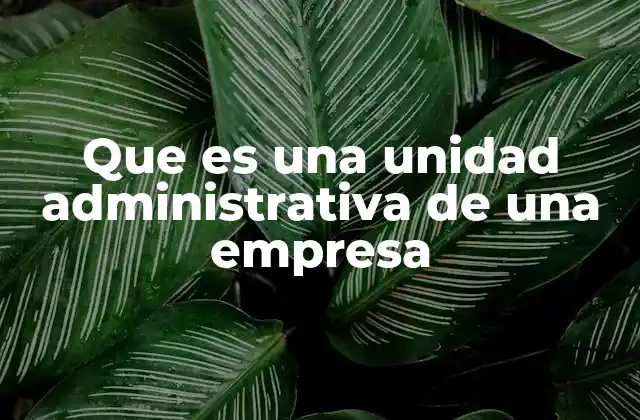 Que es una Unidad Administrativa de una Empresa