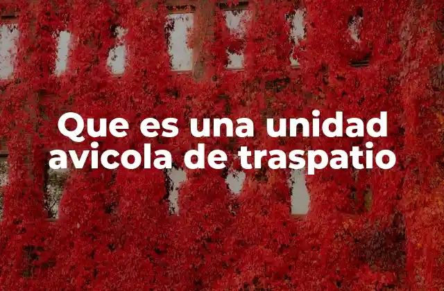 Que es una Unidad Avicola de Traspatio