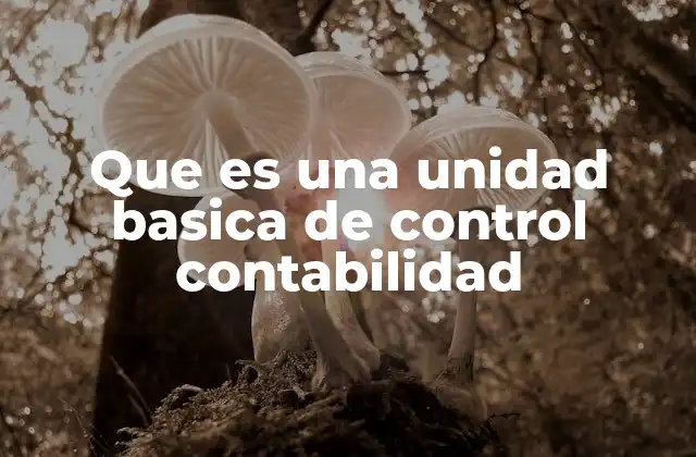 Que es una Unidad Basica de Control Contabilidad