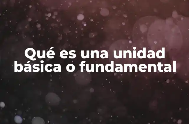 Qué es una Unidad Básica o Fundamental