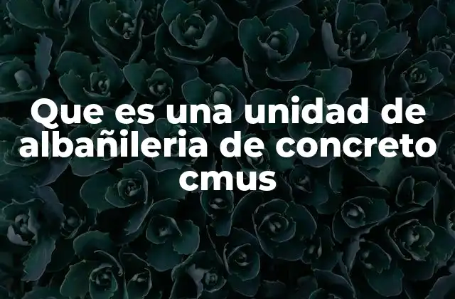 Que es una Unidad de Albañileria de Concreto Cmus