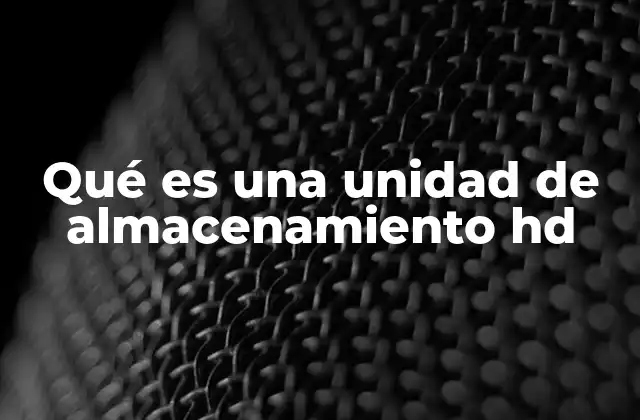 Qué es una Unidad de Almacenamiento Hd